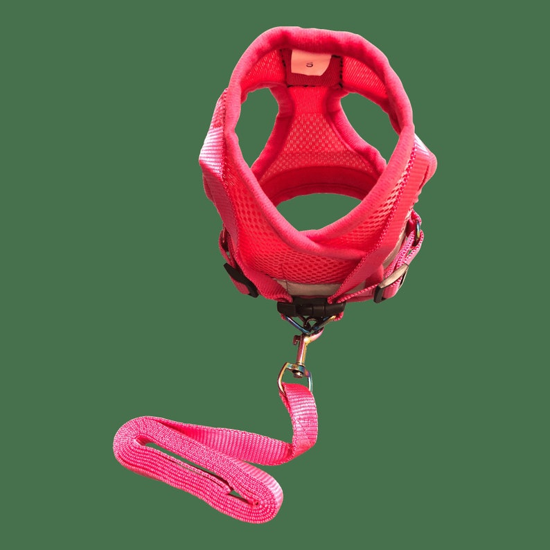"The Purrfectly Pink" Iridescent Limited-Edition Harness & Leash Set