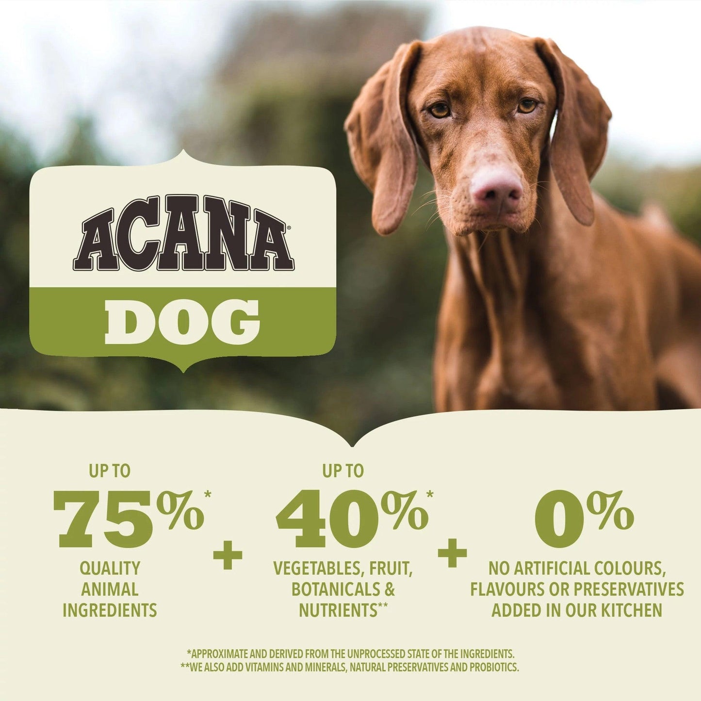 Acana Adult Dry Dog Food Recipe