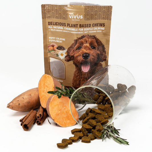 Vivus Plant Based Wellness Chews